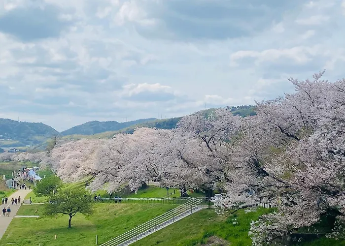 大阪民宿梅田淀川花b套